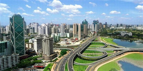 薛太保肥肠芋儿鸡