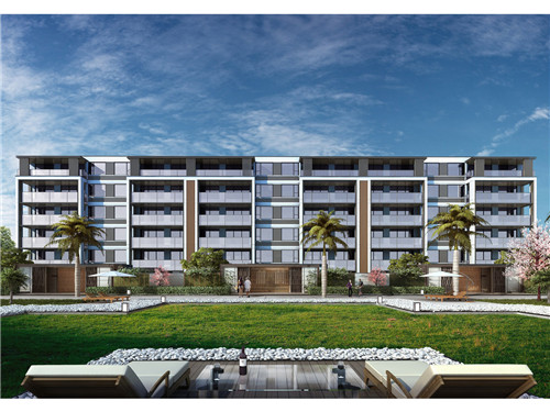 牛丼日式牛肉饭