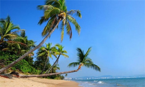 手游卡莎出夺取吗（卡莎上手）