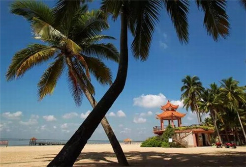 鲩字的正确写法（彐字的写法）