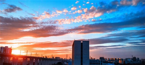福伯烧仙草2026可不可以在东辽县加盟